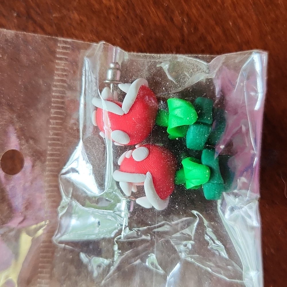 Earrings